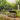 92 Gallon Deck Box Signature Storage Box Oak Brown - Keter US