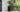 Self Watering Rosewood Brown Square Tall Planter - Keter US