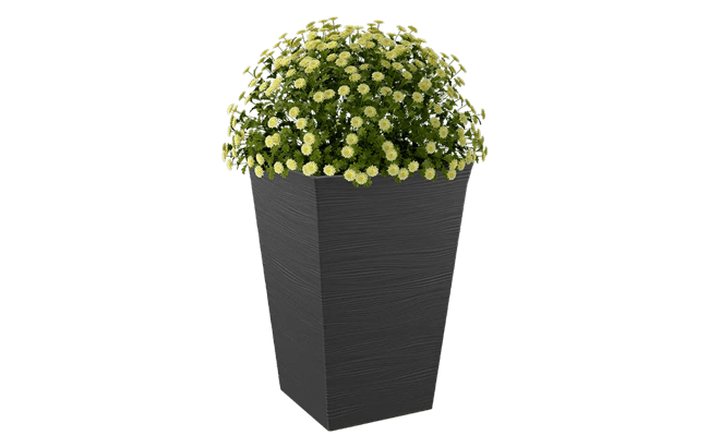 עציץ גלים - שחור